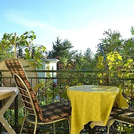 Apartment Apartments Dragica